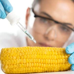https://www.certifiedcosmetics.com/wp-content/uploads/2025/07/GMO-Detection-GMO-Free-Product-Confirmation-300x300.jpg